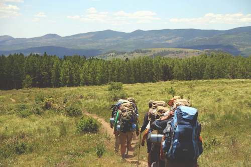 backpack group of people walking on pathway between green grass background of tree trees