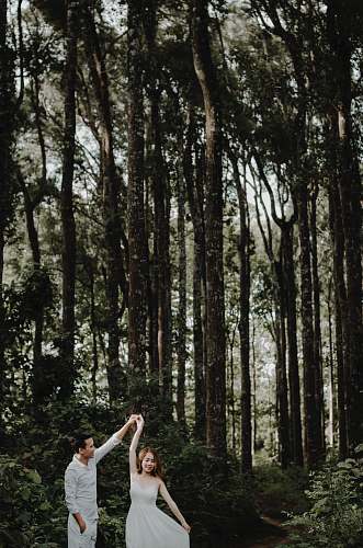 human male and female dancing near tree person