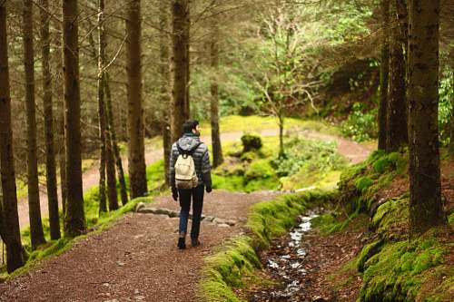 person man hiking in between trees human