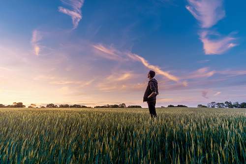 sunset man on grass field looking at sky field