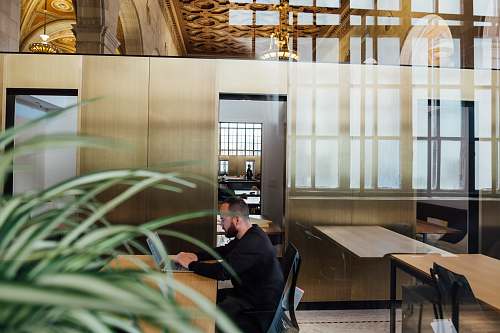 human man sitting on chair white using laptop beside door person