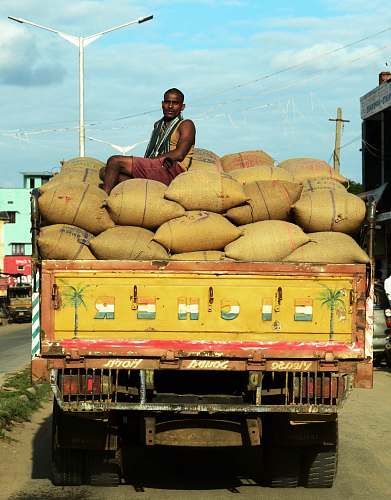 person man sitting on sack in dumptruck near street light under cloudy sky human