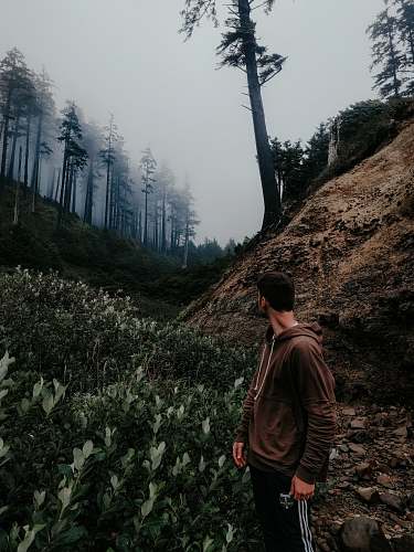 human man standing alone in forest at daytime person
