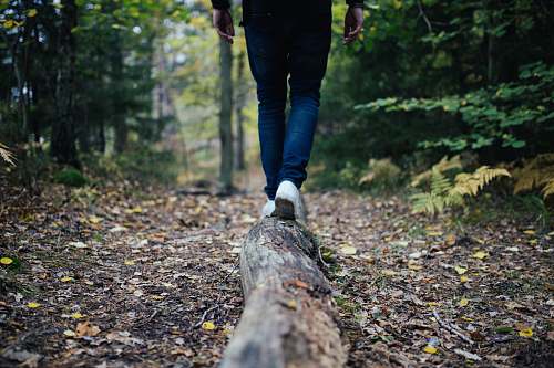 human man walking on forest person