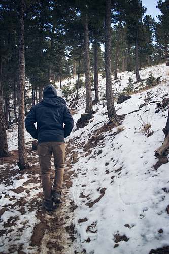 person man wearing black hooded coat walking under trees with snow during winter nature
