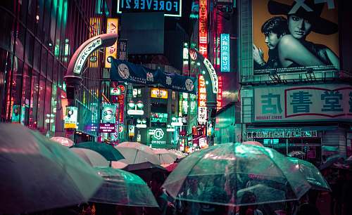 umbrella many people using umbrella during nitght time japan