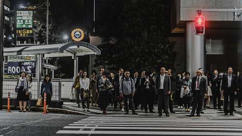 road people standing in front of pedestrian lane during daytime tokyo