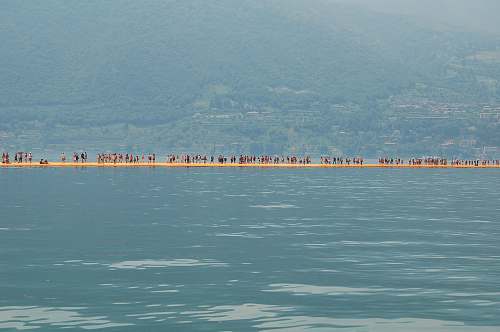 water people standing on field during daytime sea