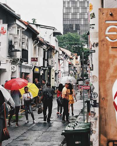 human people using umbrella during daytime umbrella