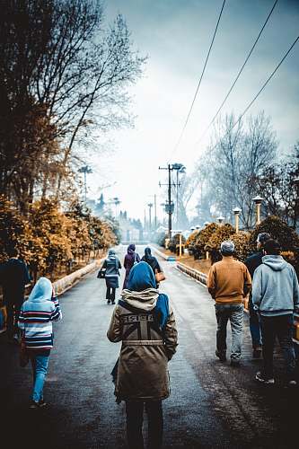 person people walking on gray road at daytime human