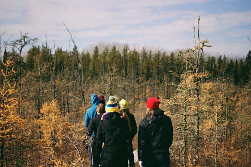 human people walking surrounded by trees person