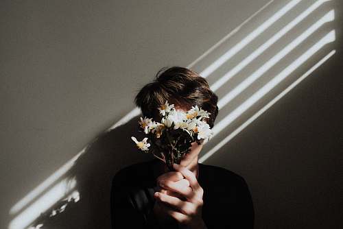 human person holding white daisy flowers person