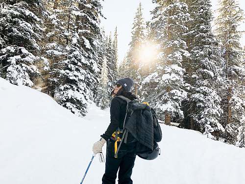 person person standing near snow-covered forest human