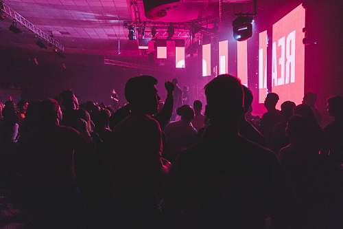 human photography of group of people inside club person