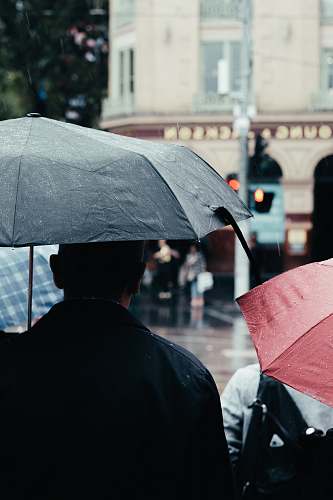 umbrella selective focus photography of man using umbrella standing back of person wearing black bacpack canopy