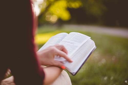person selective focus photography of person reading book bible