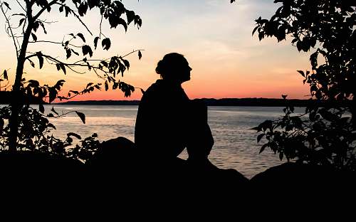 person silhouette of woman near green leafed plants human