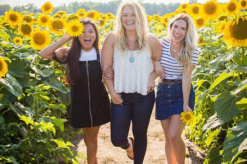 sunflower three women standing between sunflowers woman