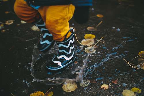 Puddle Images, Pictures in .jpg HD Free Stock Photos