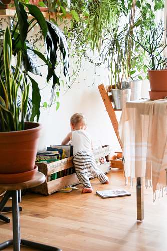 plant toddler wearing white tank top near white wall baby