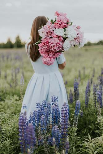 person woman carrying flowers flower