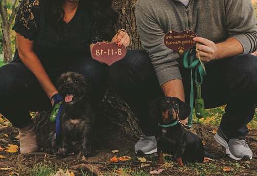 person woman holding dog beside man holding dog leaning on tree human
