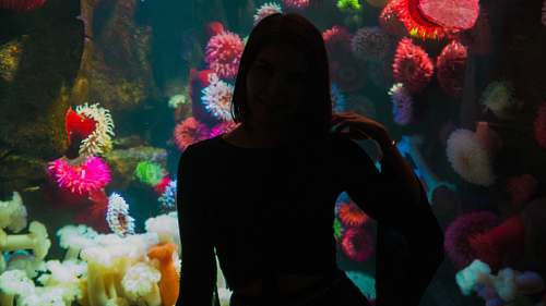 person woman in front of aquarium low light photography water