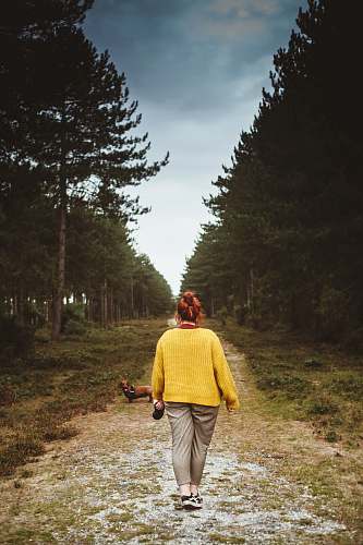 human woman standing near adult brown dachshund on road at daytime person