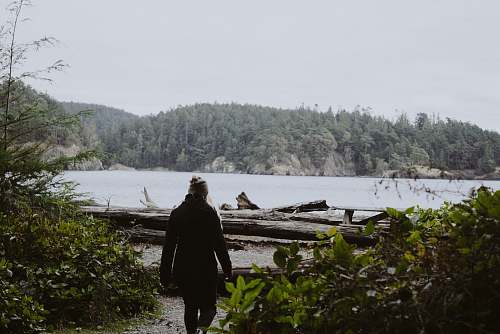 person woman standing near the green plant and log during daytime human
