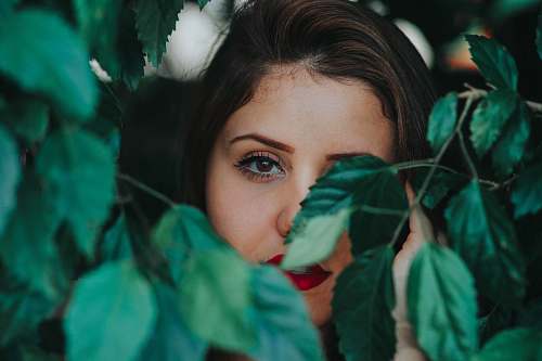 human woman taking photo between plants person