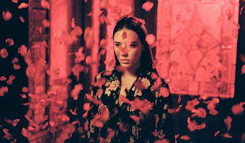 person woman wearing black and multicolored dress standing while red flower petals falling from above photo human