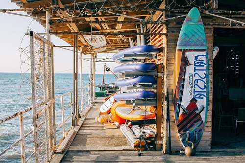 people assorted-color paddleboards human