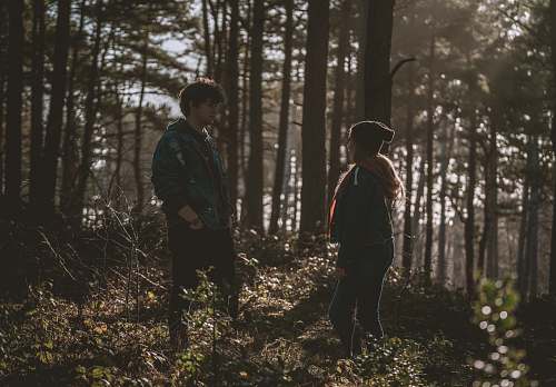 people couple in woods during daytime forest