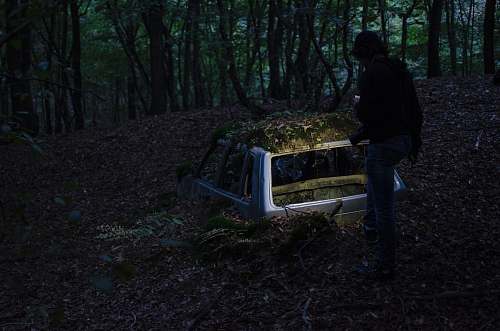 car landscape photography of man standing in front of half-buried broken car at forest forest