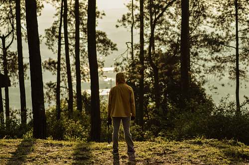 human man facing trees people