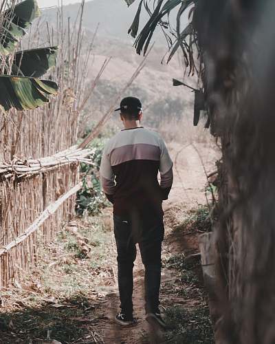 people man in white and black top standing near tree human