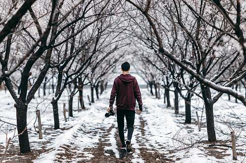 human man walking across the road surrounded by bare trees people