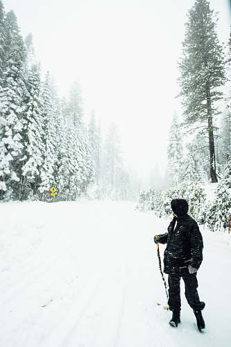 human person holding black ski pole between green pine trees covered with snow during daytime people