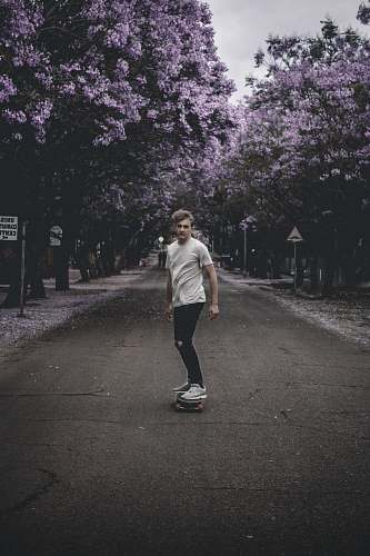 human person skating on gray concrete top road near purple leaf trees people