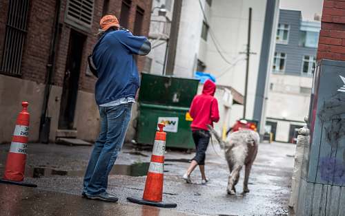 human person walking near the building with the dog people