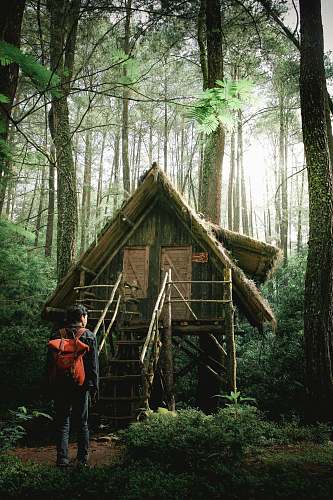 human photo of man standing infront of green wooden bungalow in the middle of forest people
