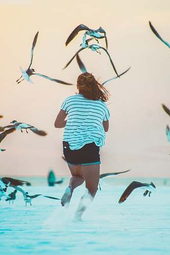 people running woman surrounded by birds at daytime human