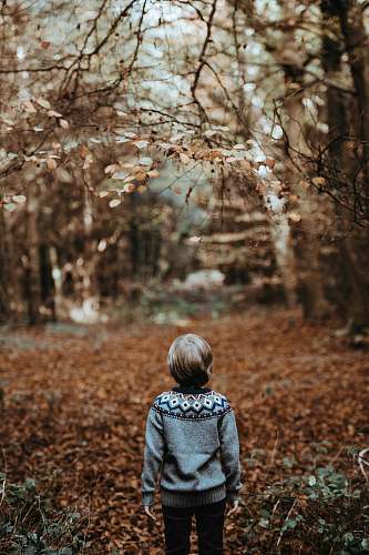 human toddler underneath trees people