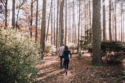 human woman and man walking under tall trees people