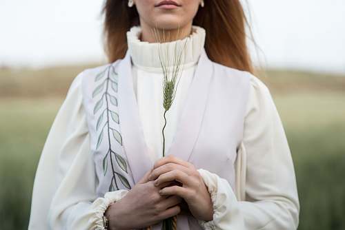 human woman holding leafed plant people