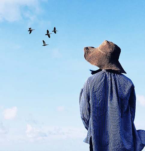 people woman looking at flying birds human