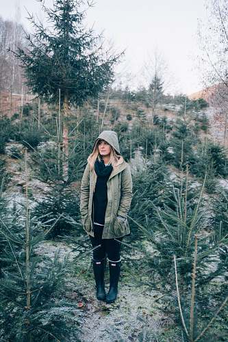 people woman standing near pine trees woman