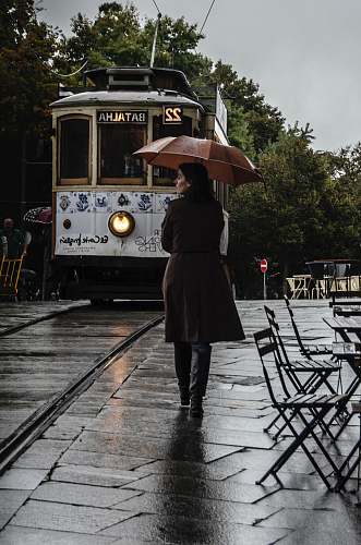 human woman wearing brown coat walking on street while holding umbrella people