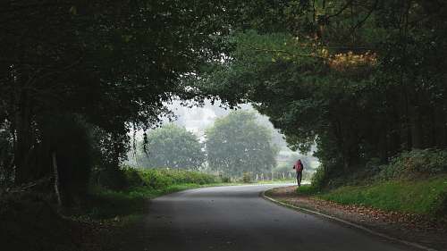 tarmac person walking towards trees road