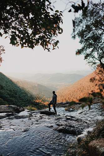 landscape man standing on lake surrounded by trees lamington national park road